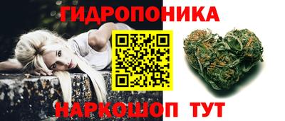 гашик Малгобек